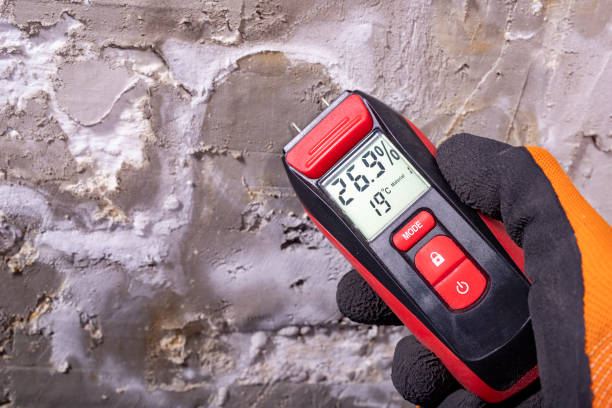 Best Mold Testing and Inspection Services in Centreville, MI
