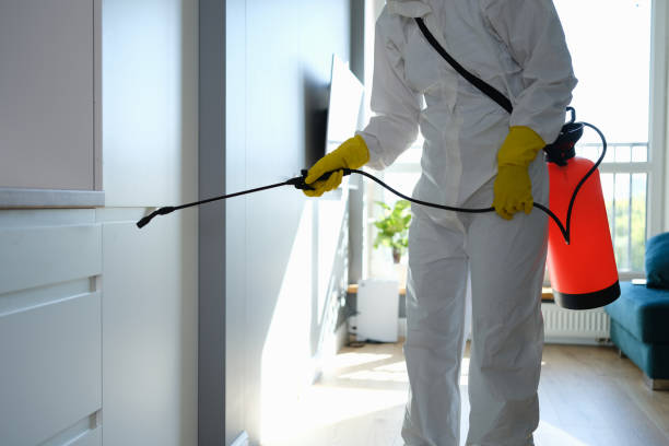 Best Mold Remediation for Schools in Centreville, MI